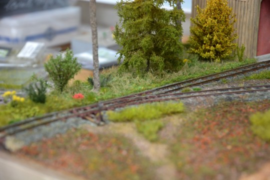 Feldweg und Gel�nde