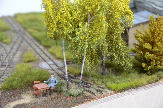 Feldweg und Gel�nde