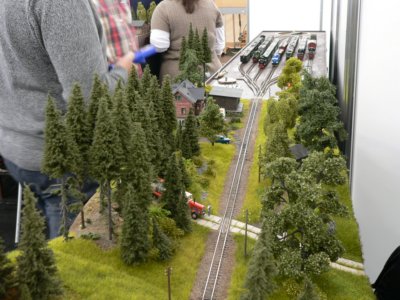 IG Schmalspurmodule Sachsen, H0e