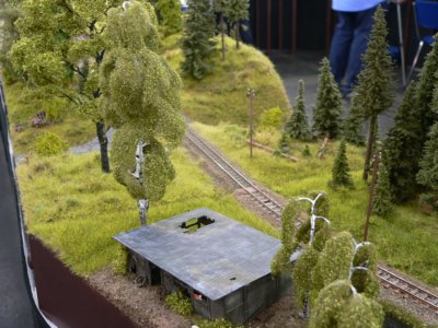 IG Schmalspurmodule Sachsen, H0e