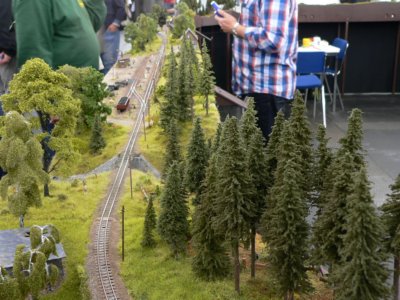 IG Schmalspurmodule Sachsen, H0e