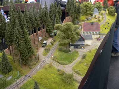 IG Schmalspurmodule Sachsen, H0e