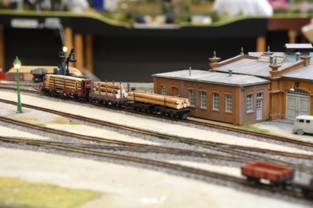 Segment-/Modulanlage Schmalspur, H0e