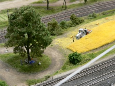 Modellbundesbahn Bad Driburg