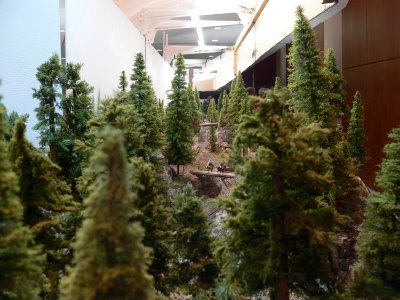 Nitinat River Railroad