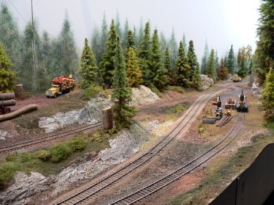 Nitinat River Railroad