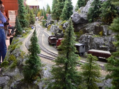 Nitinat River Railroad