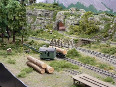 Nitinat River Railroad