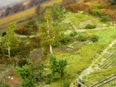 Lewin Leski - Bozepole Mazurskie, H0e