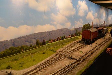 Ein Laufstall fr die Tssd