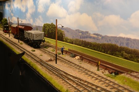 Ein Laufstall fr die Tssd