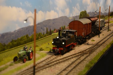 Ein Laufstall fr die Tssd