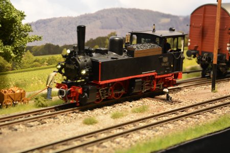 Ein Laufstall fr die Tssd