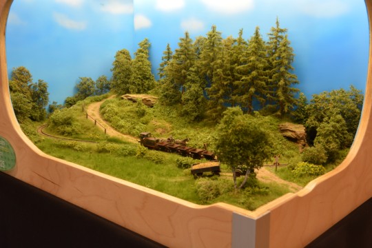 Zechenbacher Feldbahn, H0f