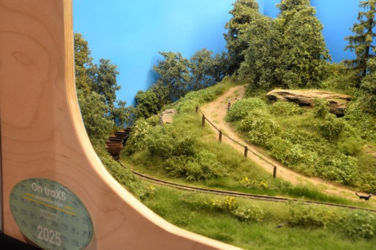 Zechenbacher Feldbahn, H0f