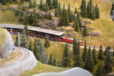 Adler Schmalspurbahnen, H0m