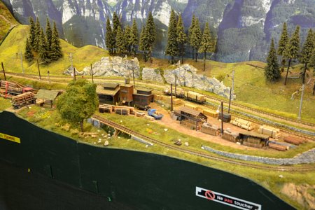 Montreux-Oberland-Bernoisebahn, H0m