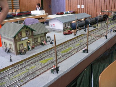 Eisenbahnfreunde99, Spur-1-Anlage