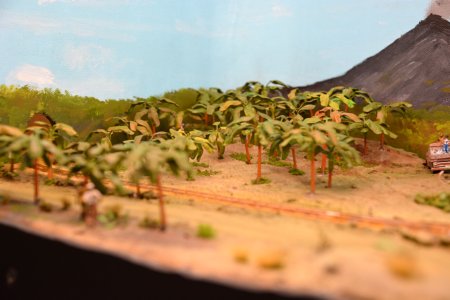 Bananenplantage, H0f