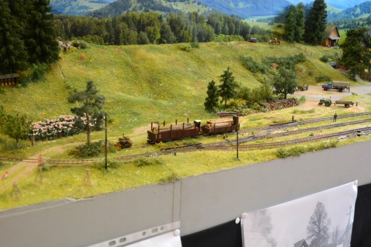 Bhf Miklauzhof / Vellachtalbahn, H0e