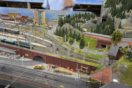 Modellbahnclub Guben e.V., TT