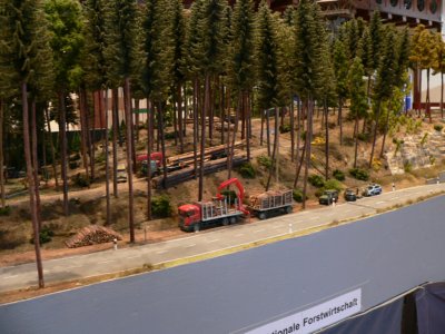 Dem Holz auf der Spur