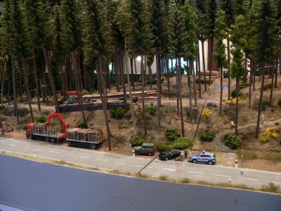 Dem Holz auf der Spur