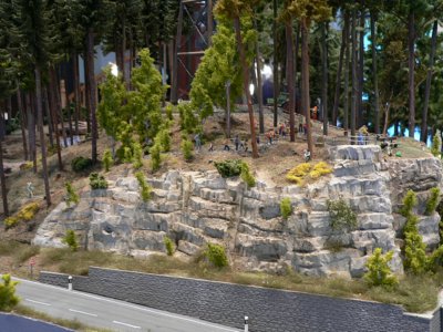 Dem Holz auf der Spur