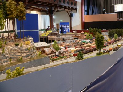 Dem Holz auf der Spur