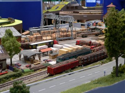 Dem Holz auf der Spur