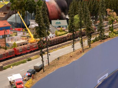 Dem Holz auf der Spur