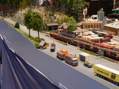 Dem Holz auf der Spur