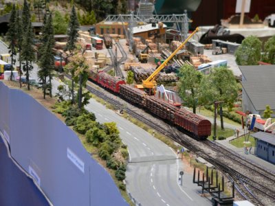 Dem Holz auf der Spur