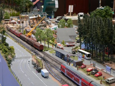 Dem Holz auf der Spur