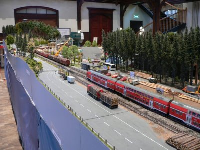 Dem Holz auf der Spur