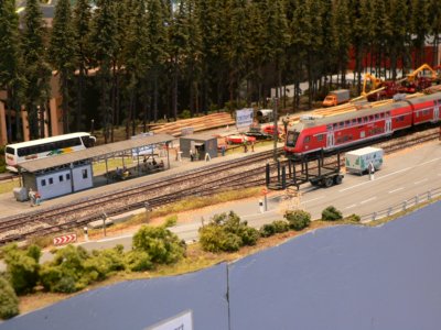 Dem Holz auf der Spur