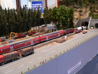 Dem Holz auf der Spur