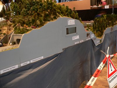 Dem Holz auf der Spur