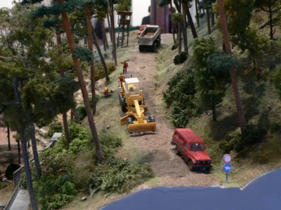 Dem Holz auf der Spur