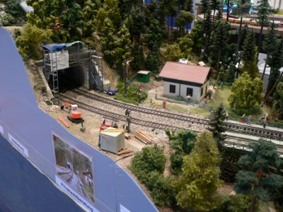 Dem Holz auf der Spur