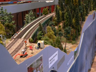 Dem Holz auf der Spur