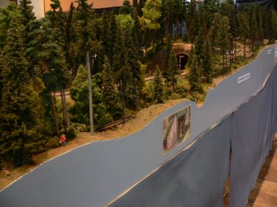 Dem Holz auf der Spur