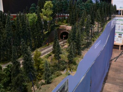 Dem Holz auf der Spur