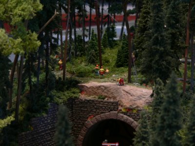 Dem Holz auf der Spur