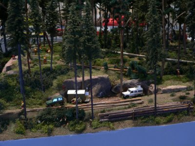 Dem Holz auf der Spur