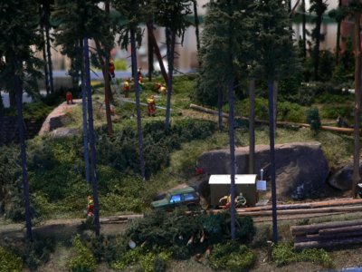 Dem Holz auf der Spur