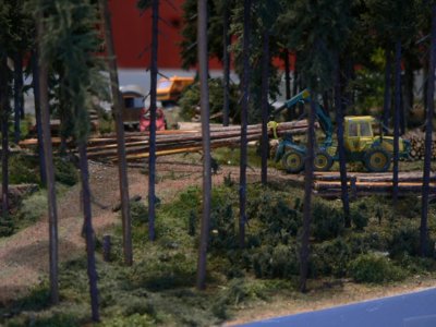 Dem Holz auf der Spur