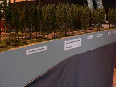 Dem Holz auf der Spur