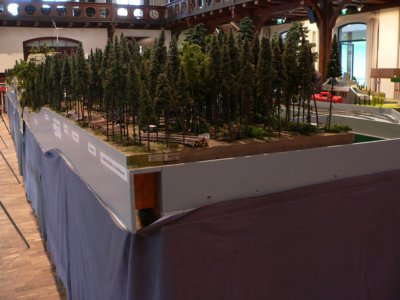 Dem Holz auf der Spur