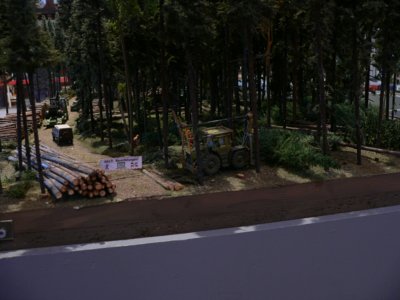 Dem Holz auf der Spur